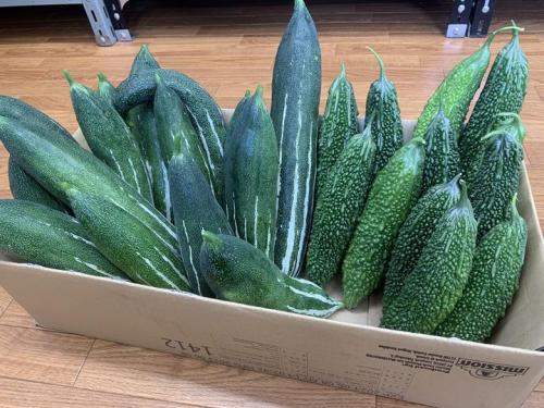Fresh vegetables